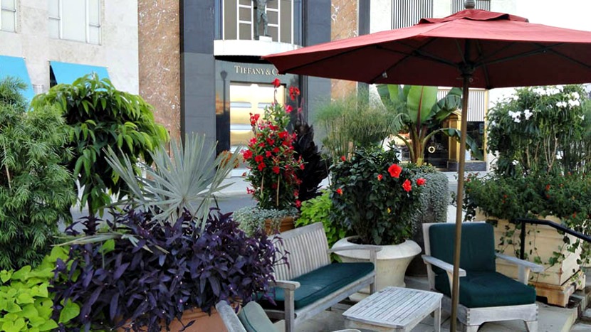 Balancing Landscaping Beauty with Safety